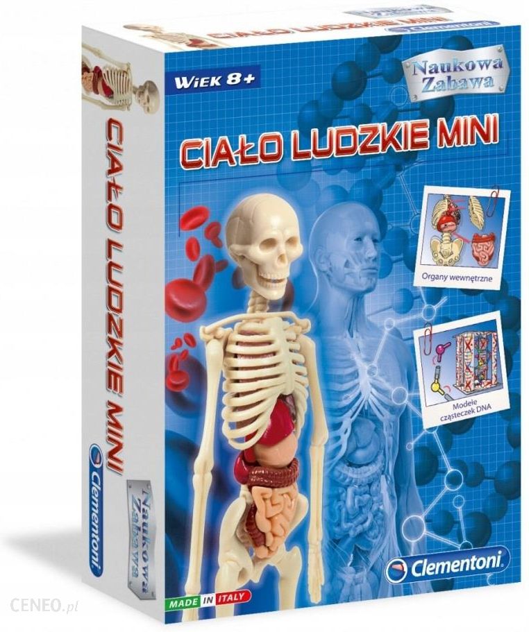 i-clementoni-cialo-ludzkie-mini